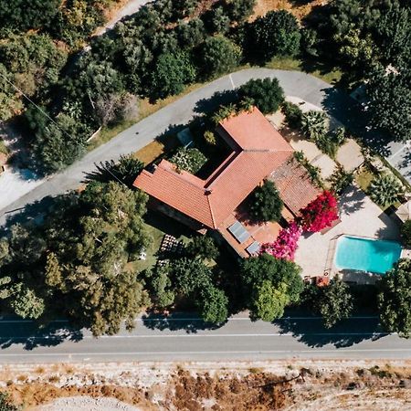 Βασιλιάς Νικοκλής Ξενοδοχείο Νικόκλεια Εξωτερικό φωτογραφία
