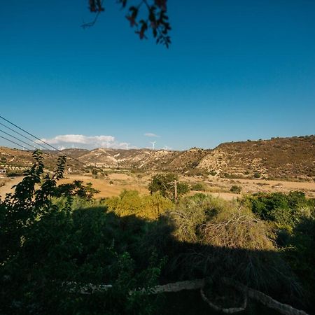 Βασιλιάς Νικοκλής Ξενοδοχείο Νικόκλεια Εξωτερικό φωτογραφία