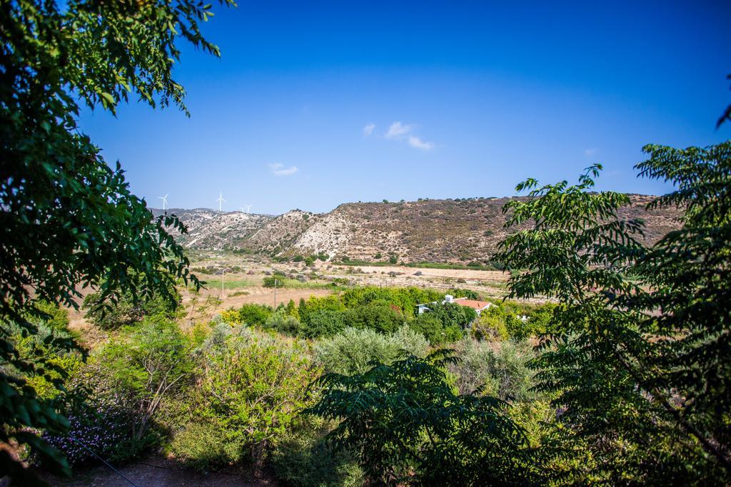 Βασιλιάς Νικοκλής Ξενοδοχείο Νικόκλεια Εξωτερικό φωτογραφία